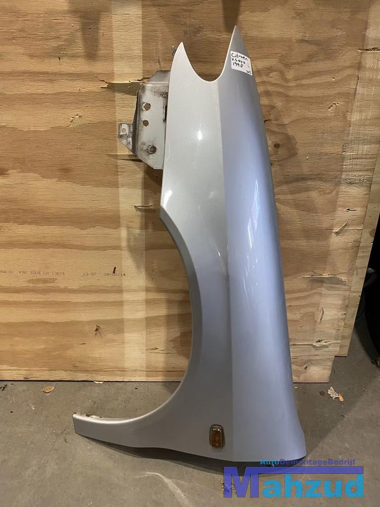 CITROEN XSARA COUP grijs links scherm zijscherm zijpaneel, Auto-onderdelen, Gebruikt, Citroën, Stellantis N.V., Ophalen of Verzenden