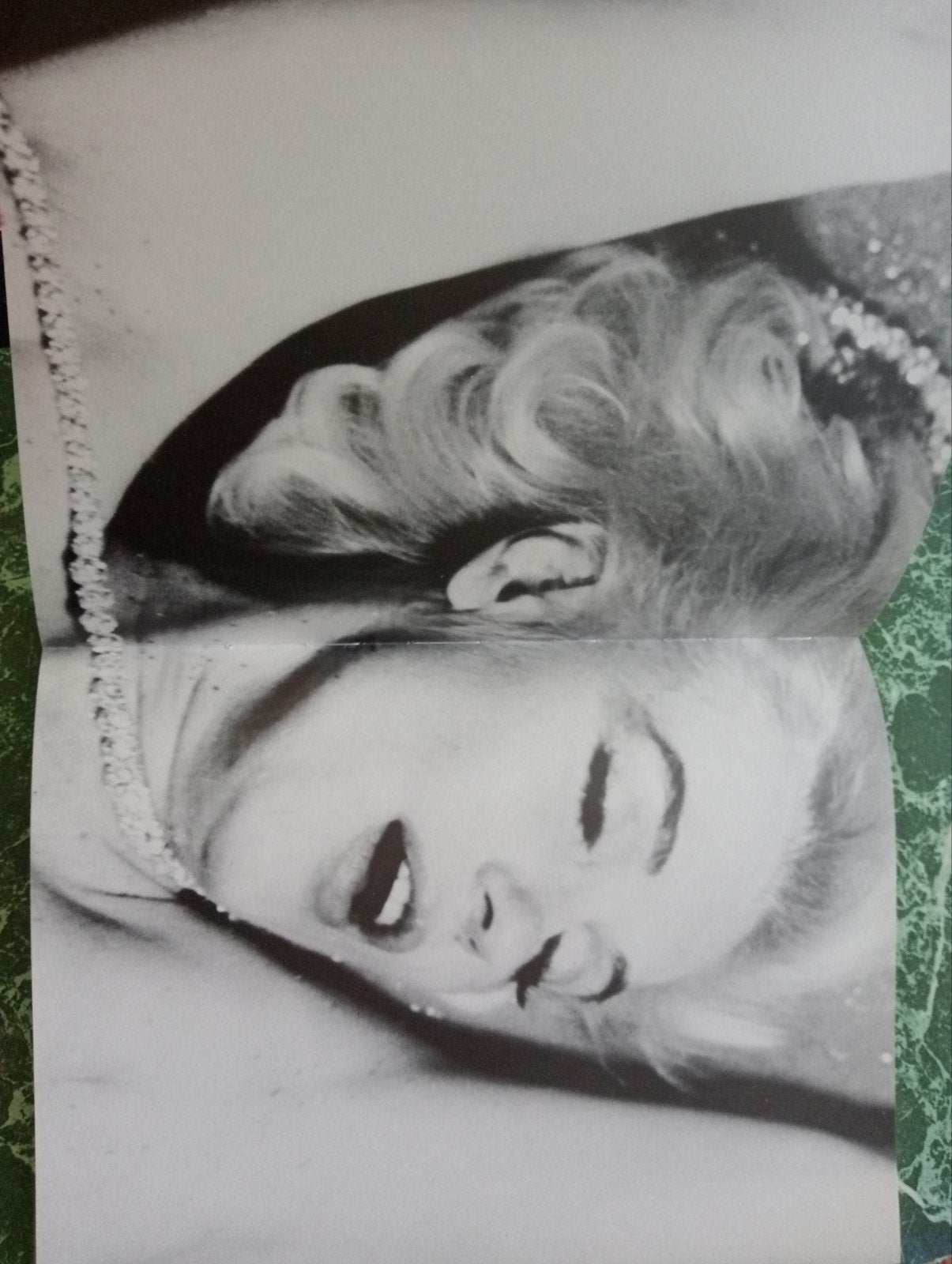 Marilyn Monroe: Haar laatste fotosessie door Bert Stern, Boeken, Kunst en Cultuur | Fotografie en Design, Ophalen of Verzenden