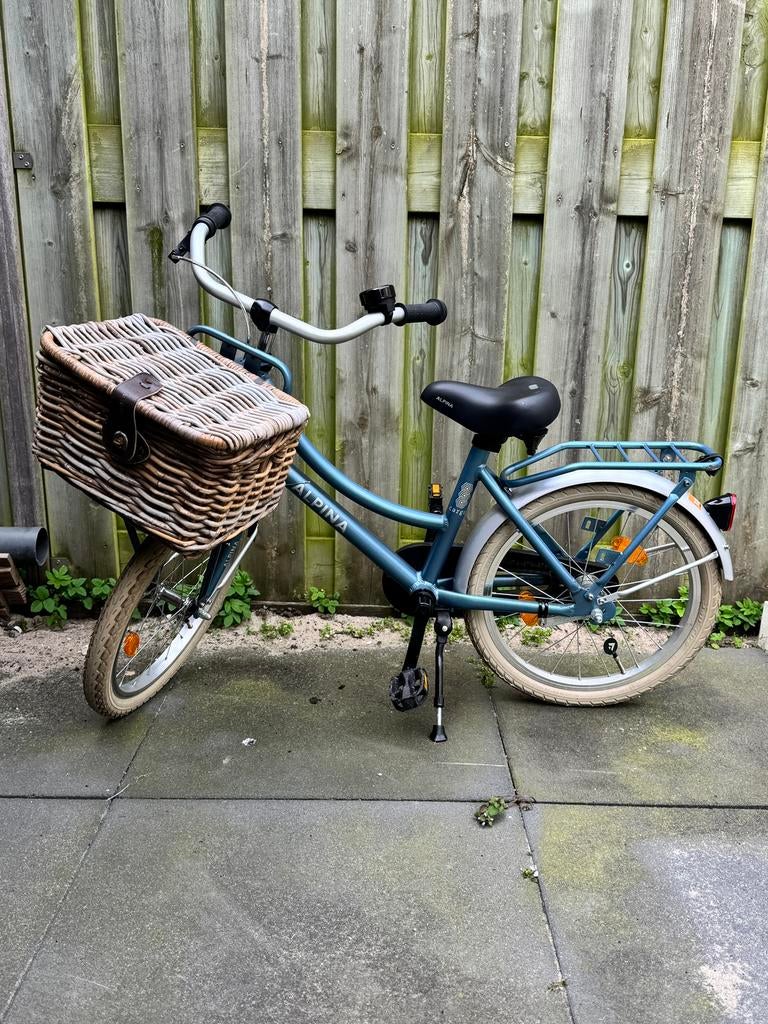 Alpina Cargo blue 2025 18 inch, Ophalen, Zo goed als nieuw, 26 inch of meer