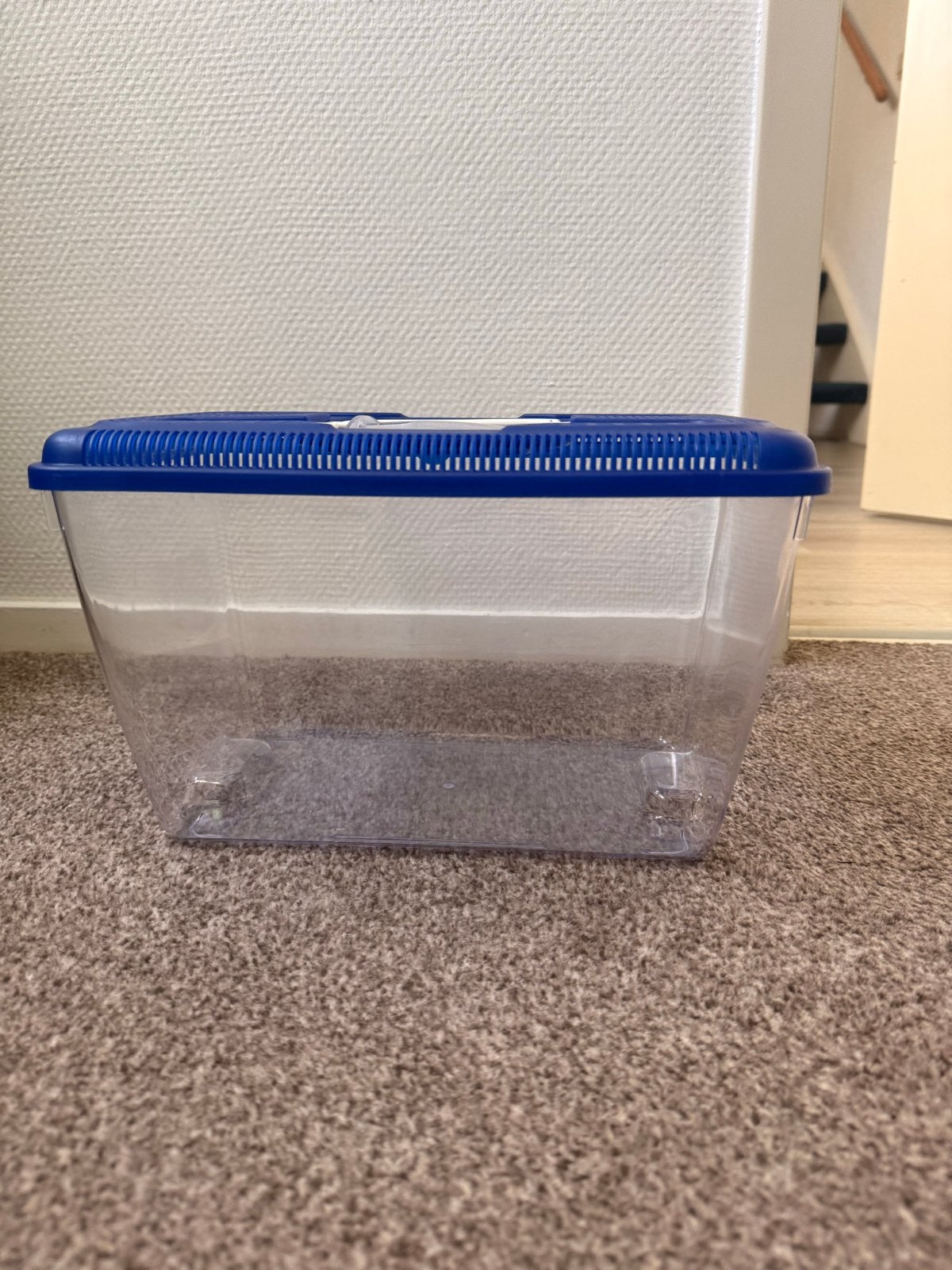 Boon Aquarium Plastic Blue Lid 8.3 Liters and Filter, Dieren en Toebehoren, Ophalen of Verzenden, Leeg aquarium