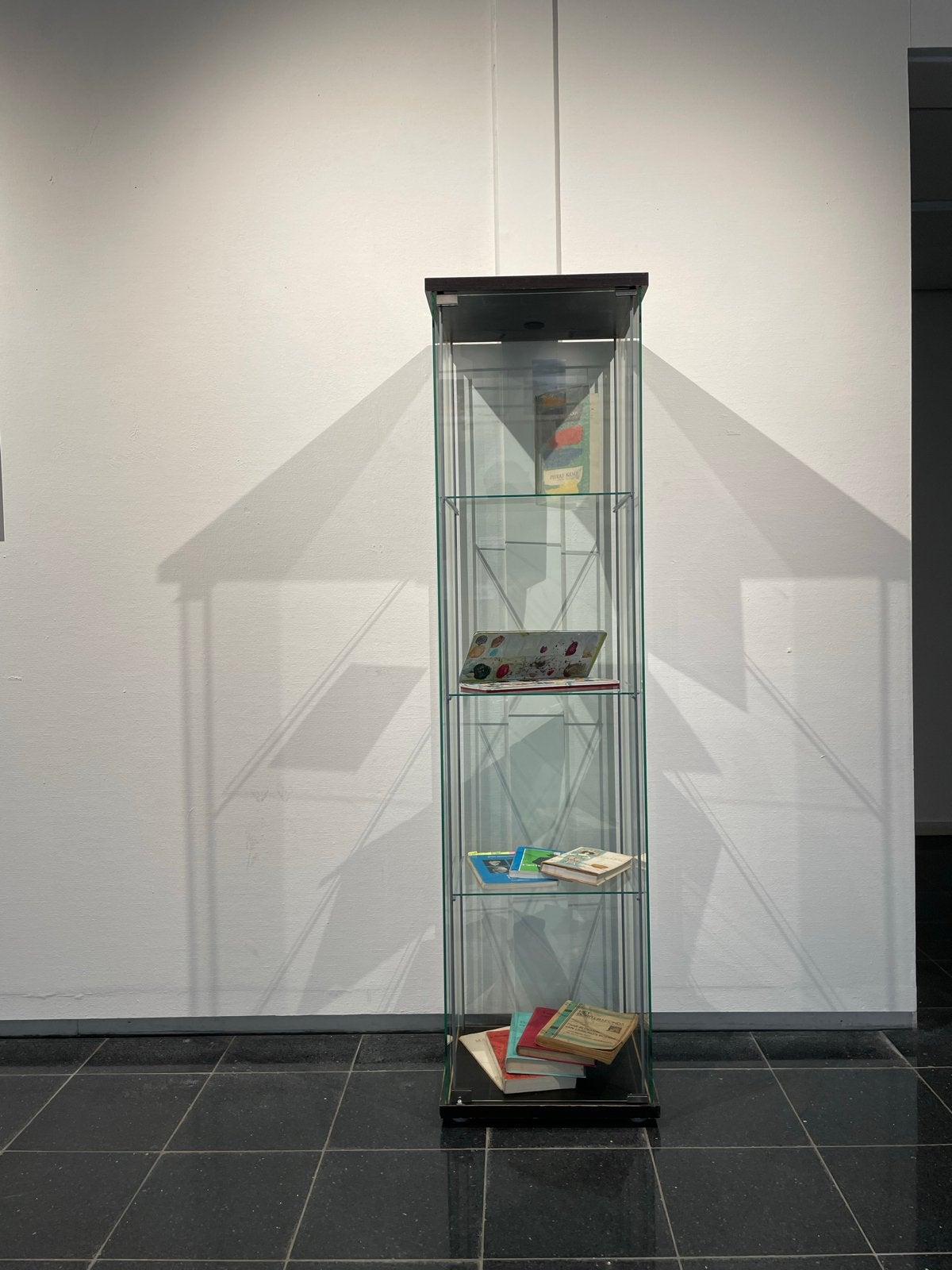 Glazen vitrinekast 40x35x160 cm met 3 glasplaten, Ophalen, Met plank(en), Minder dan 50 cm, Gebruikt