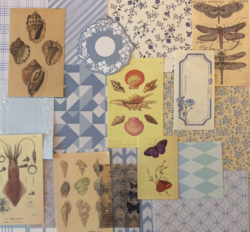 Scrapbooking zomer, strand schelpen papier, Verzenden, Nieuw, Papier of Karton