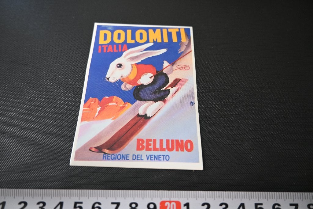 sticker dolomiti italia belluno strip konijn skiën, Ophalen of Verzenden, Zo goed als nieuw
