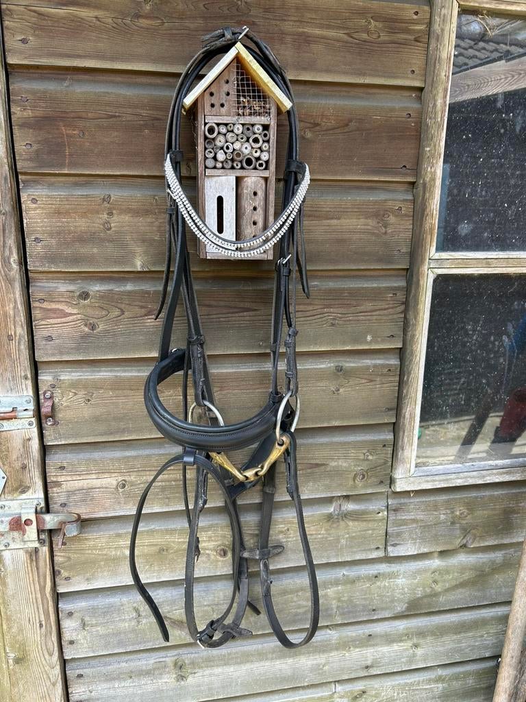 Hoofdstel maat full, Dieren en Toebehoren, Paarden en Pony's | Hoofdstellen en Tuigage, Ophalen of Verzenden, Gebruikt, Dressuur