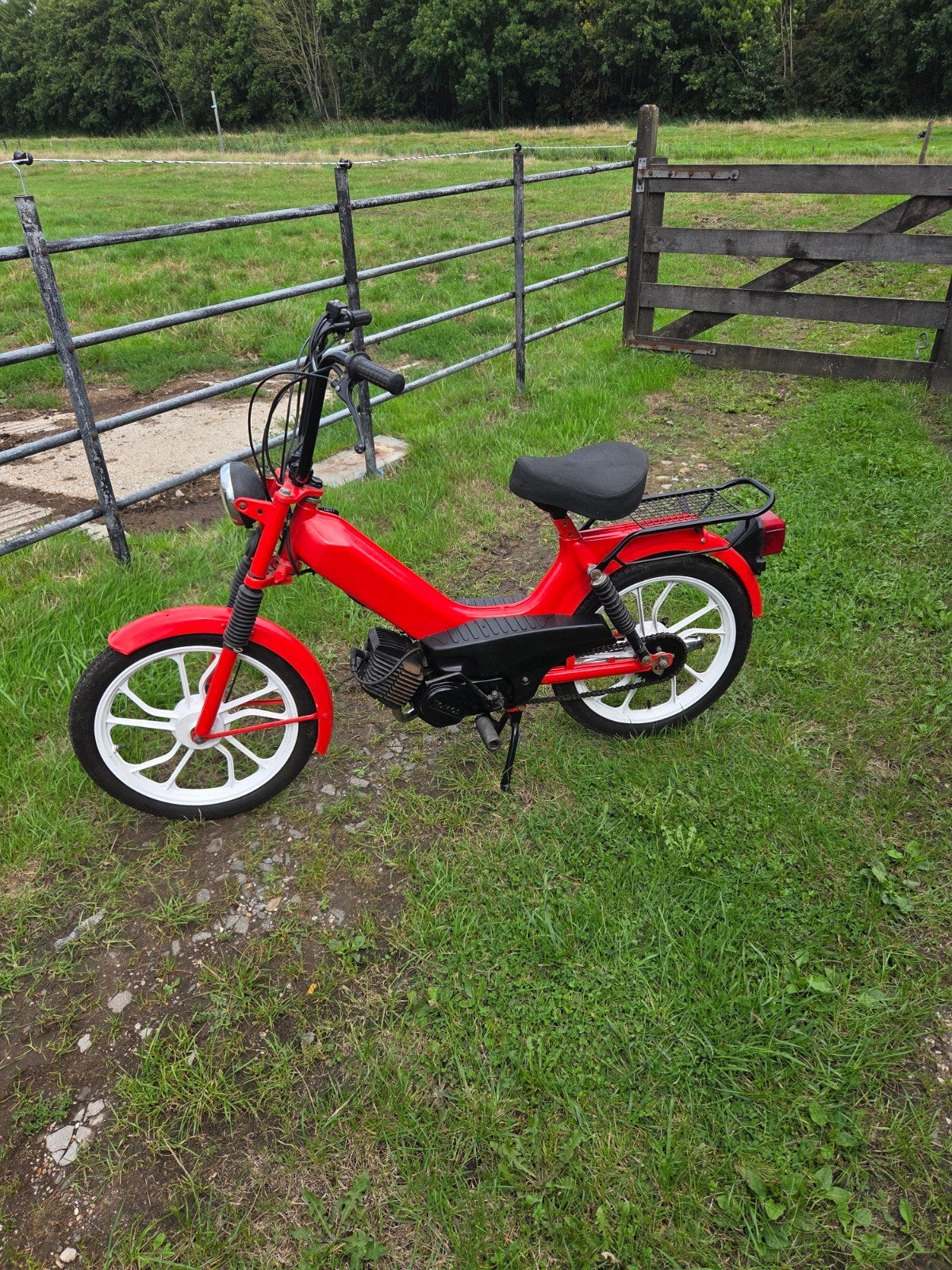 TOMOS SNORBROMMER (ZONDER KENTEKEN), Ophalen, Gebruikt, Maximaal 45 km/u, 2 versnellingen