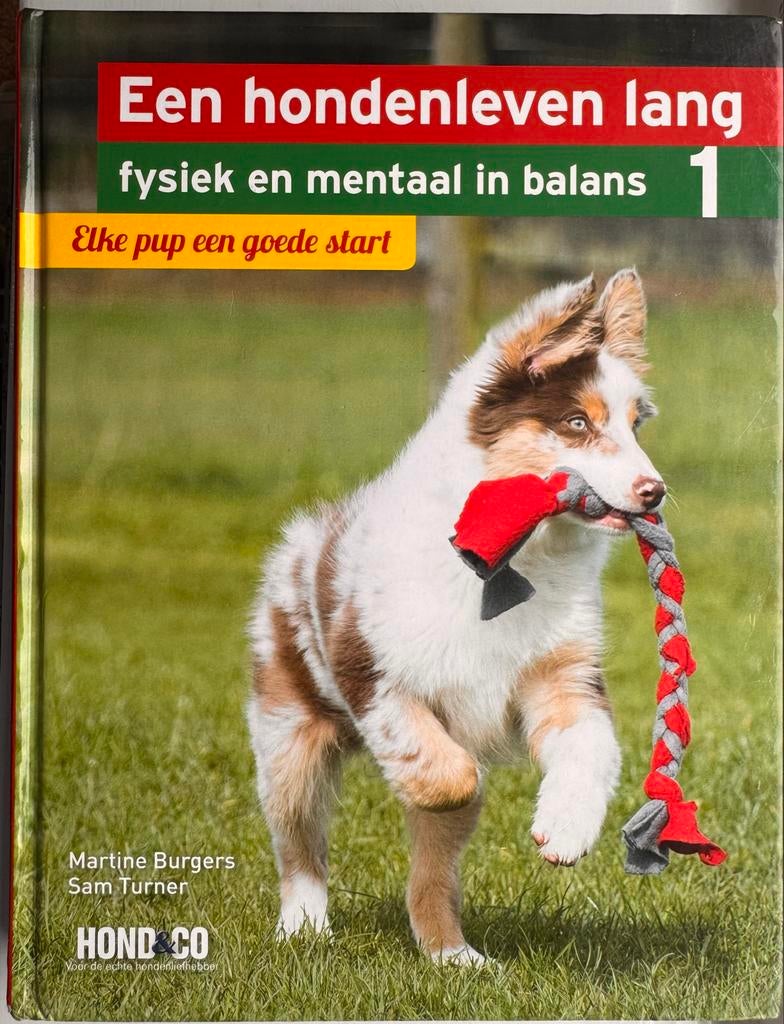 Een hondenleven lang: Elke pup een goede start, Ophalen, Zo goed als nieuw, Honden
