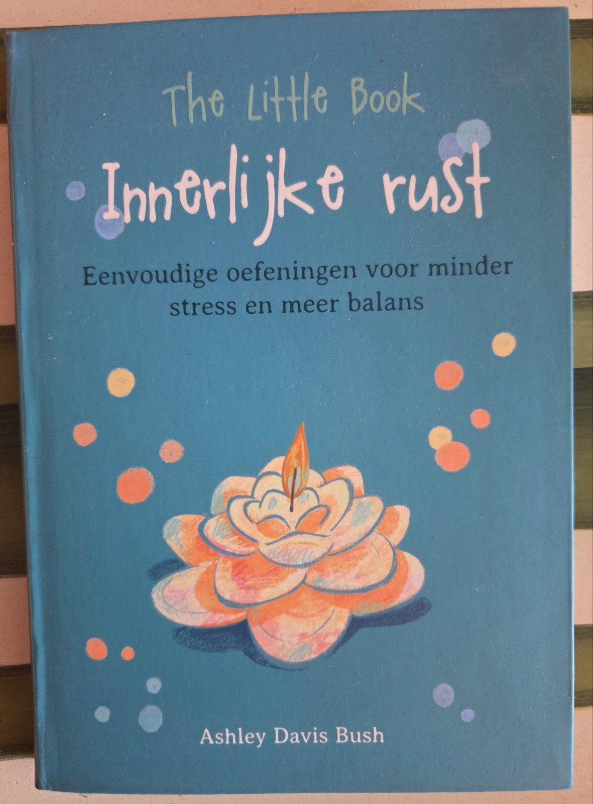 Ashley Davis Bush - The little book Innerlijke rust, Ashley Davis Bush, Studie en Technieken, Ophalen of Verzenden, Zo goed als nieuw