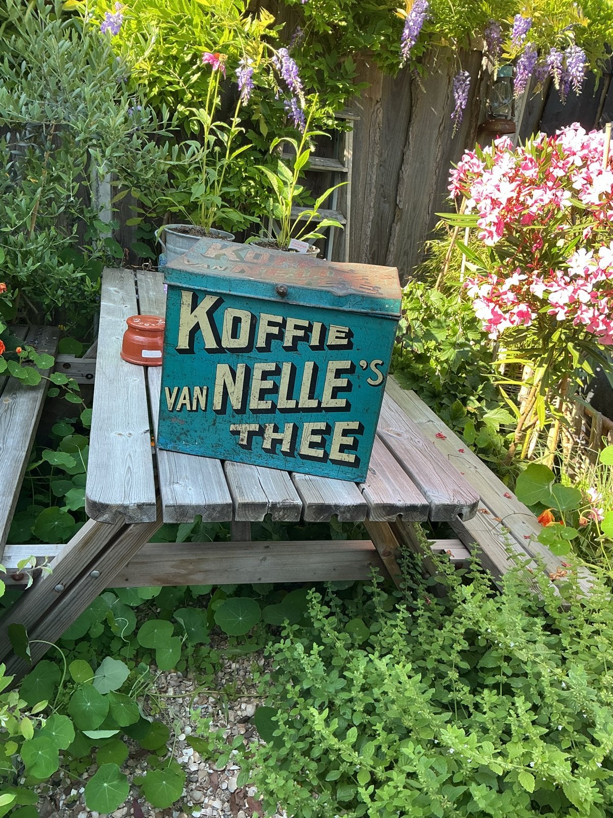Antiek Koffie van Nelle's Thee winkelblik - Vintage blik, Ophalen of Verzenden