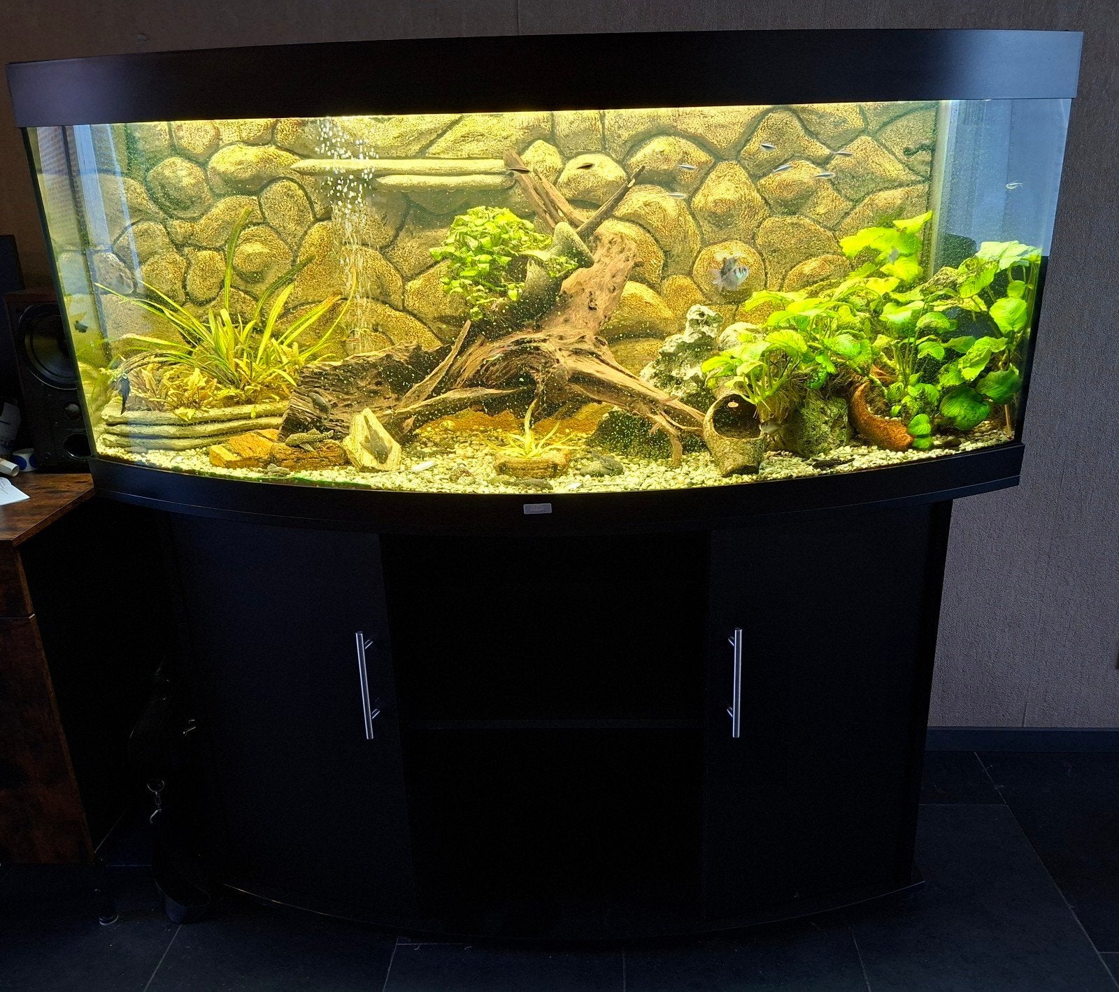 Aquarium geheel kompleet, Dieren en Toebehoren, Vissen | Aquaria en Toebehoren, Ophalen, Zo goed als nieuw, Gevuld zoetwateraquarium