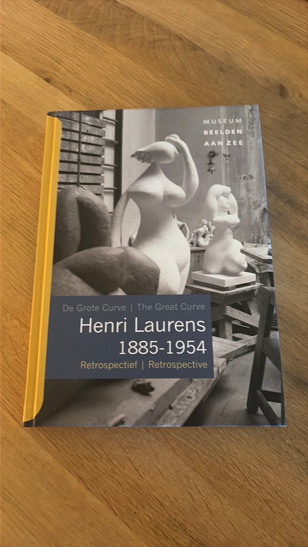 De Grote Curve - Henri Laurens 1885 - 1954 - Retrospectief, Ophalen of Verzenden, Gelezen, Beeldhouwkunst