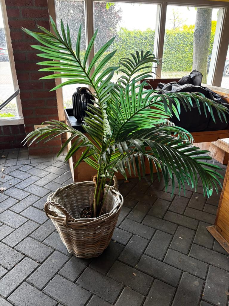 Kunstplant te koop, Ophalen of Verzenden, Zo goed als nieuw