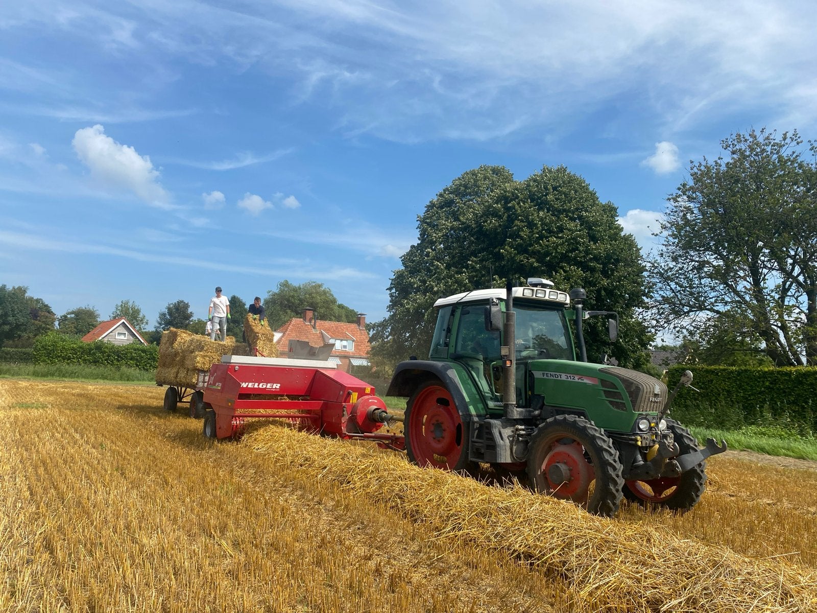 Haverstro: grote, kleine pakken of los af land (10.000 kg), Ophalen, Vee