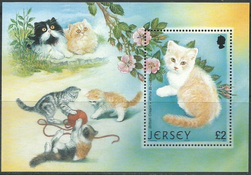 JERSEY 2002 Katten Blokje, Michel: B-34, Postfris., Verzenden, Postfris, Dier of Natuur