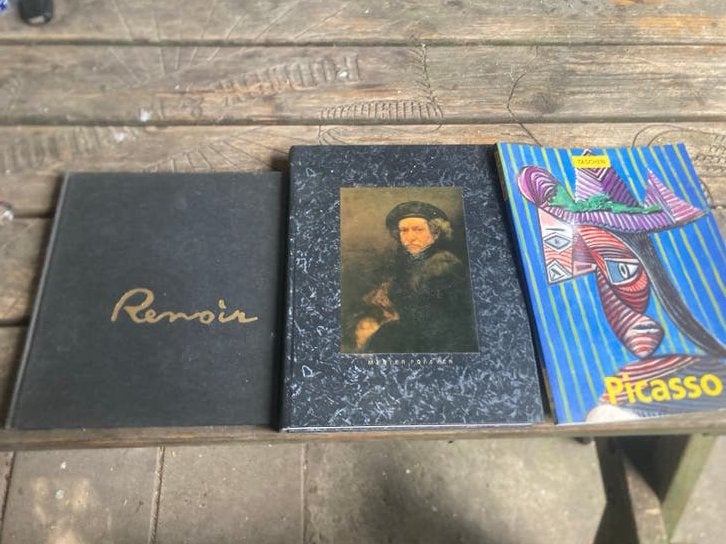 Kunstboeken: Picasso, Swip Stolk, Renoir, Ophalen of Verzenden, Gelezen, Schilder- en Tekenkunst
