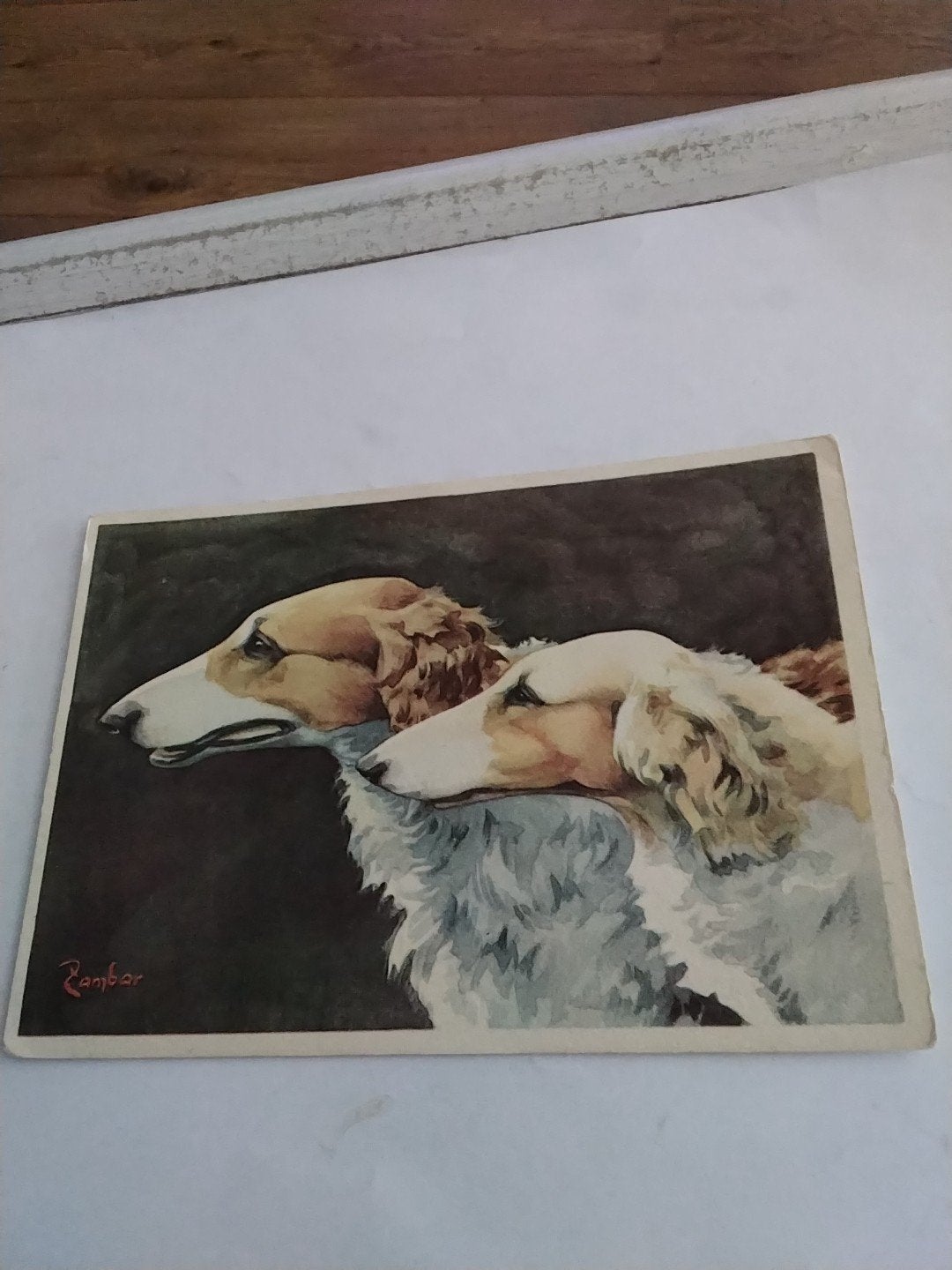 Vintage Borzoi Honden Ansichtkaart - Gesigneerd 'Rambar', Ophalen of Verzenden, 1940 tot 1960, Ongelopen