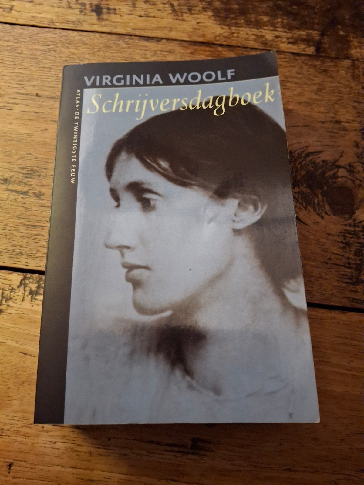 Virgina Woolf - Schrijversdagboek, Ophalen of Verzenden, Gelezen, Virgina Woolf