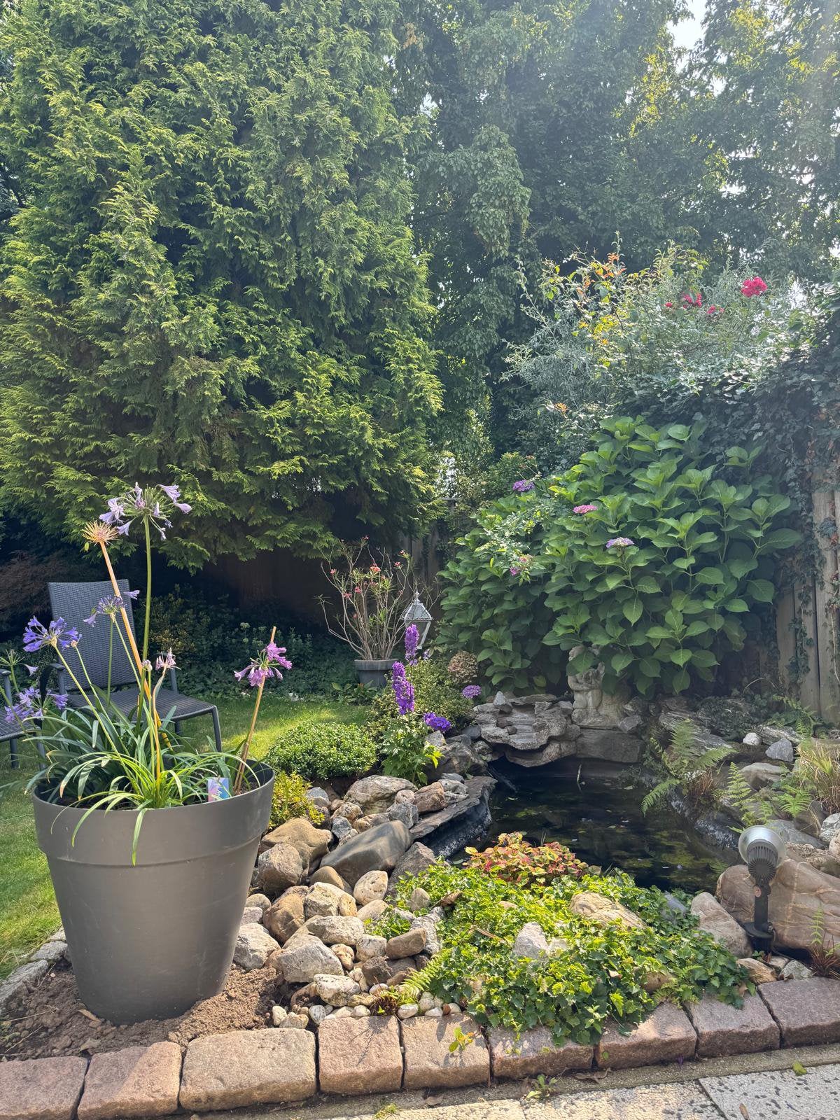 Waterval voor vijver, Tuin en Terras, Ophalen, Bloeit niet, Halfschaduw, Overige soorten