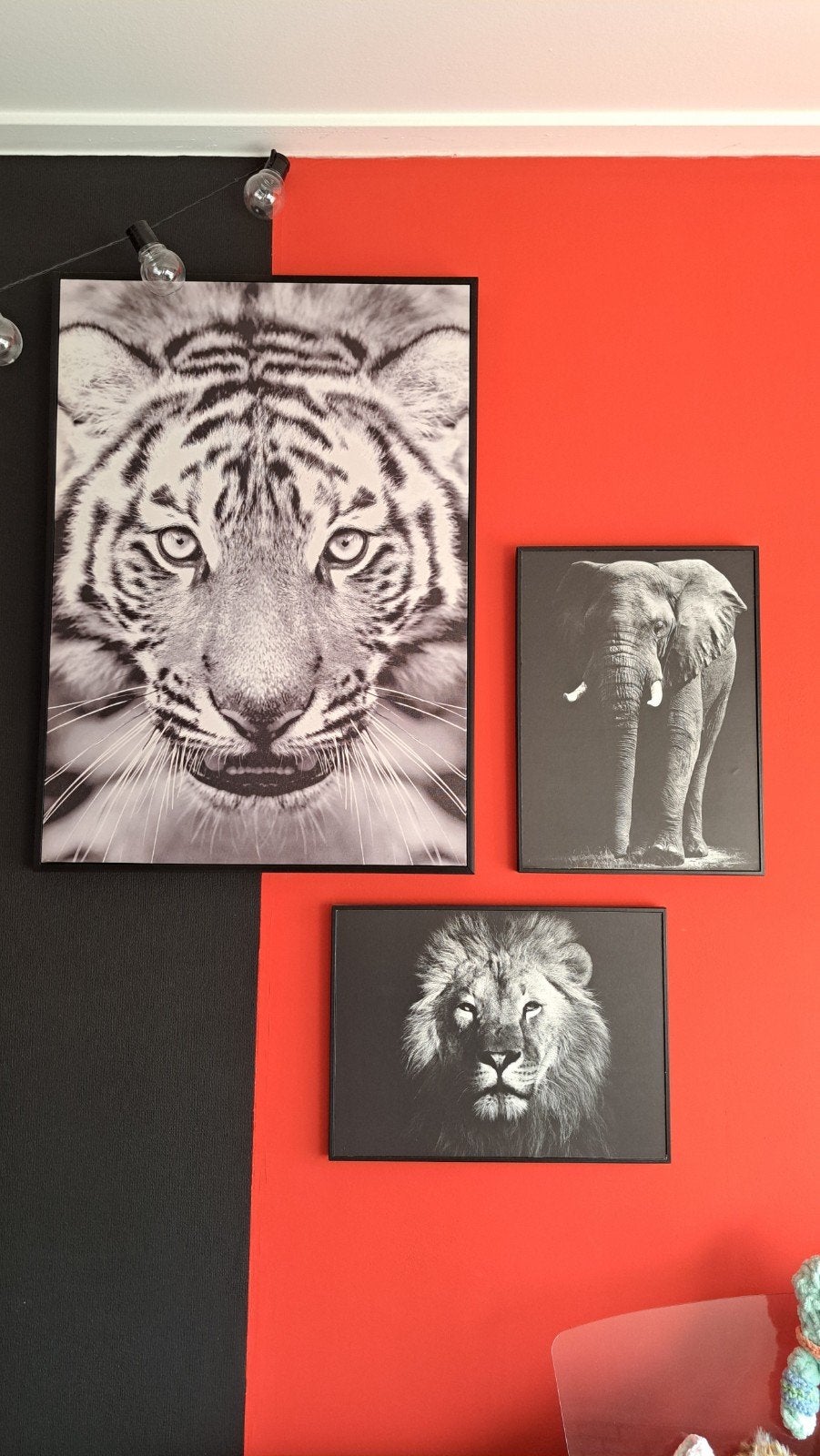 Set van 4 canvas schilderijen met lijst : Tijger, Leeuw, Oli, 50 – 75, Ophalen of Verzenden, Zo goed als nieuw, Schilderij
