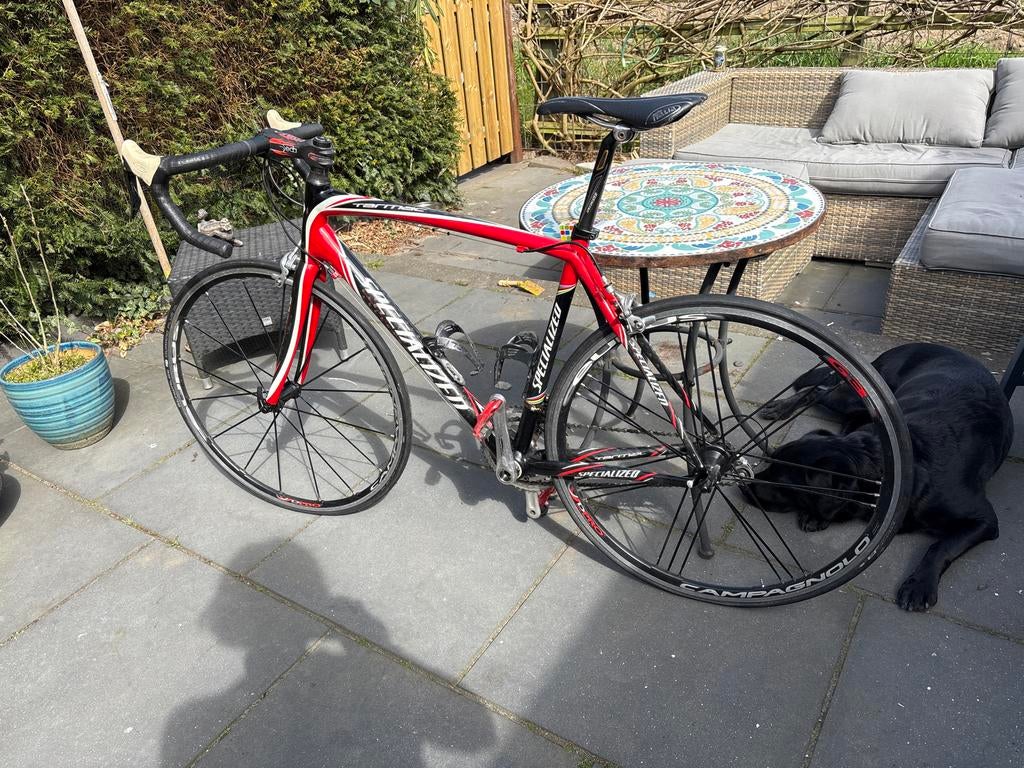 Specialized Tarmac met Campagnolo Eurus wielen, Ophalen, Gebruikt, Overige typen