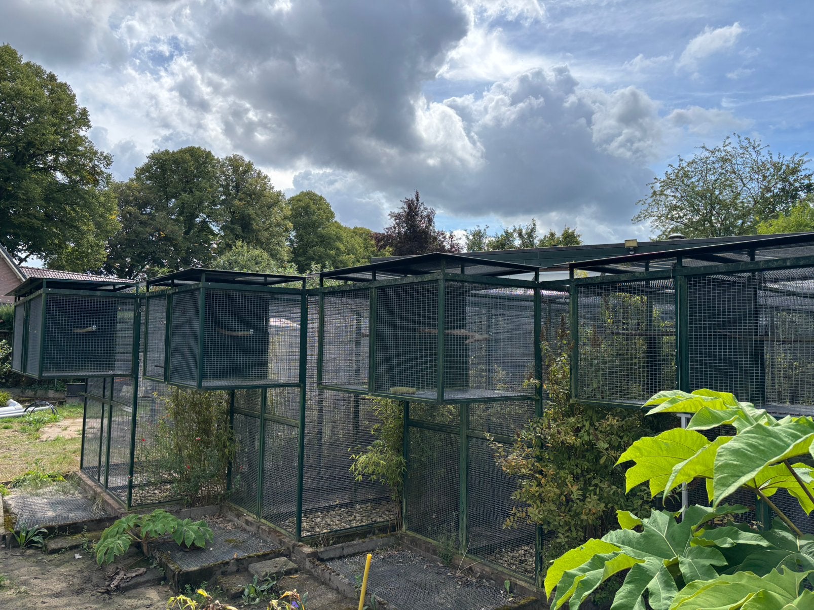 Volière / vogelkooien, Dieren en Toebehoren, Vogels | Hokken en Kooien, Ophalen, Zo goed als nieuw, Aluminium, Volière