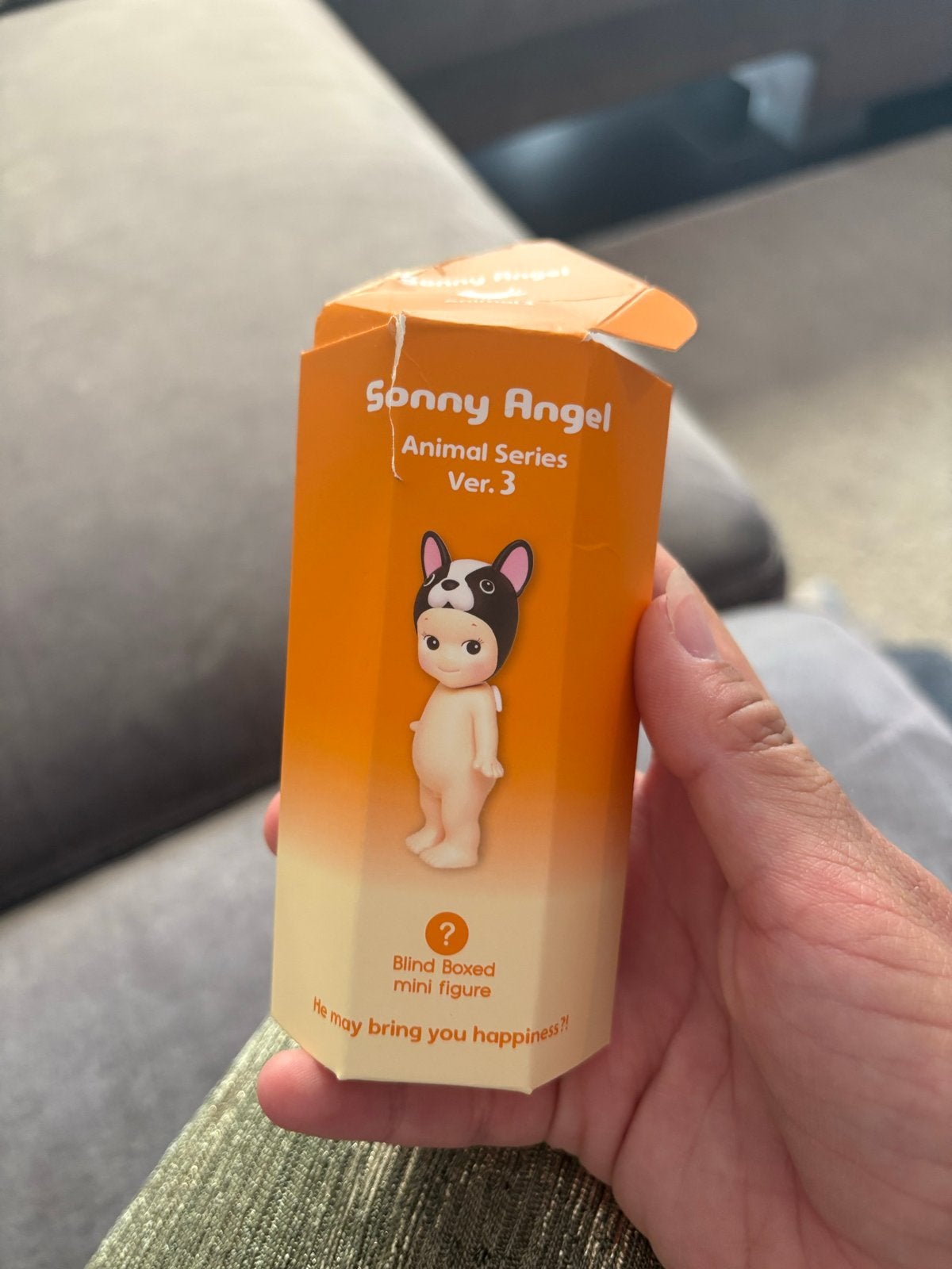 Sonny Angel Diverse Figuren, Ophalen of Verzenden, Nieuw, Jongen of Meisje