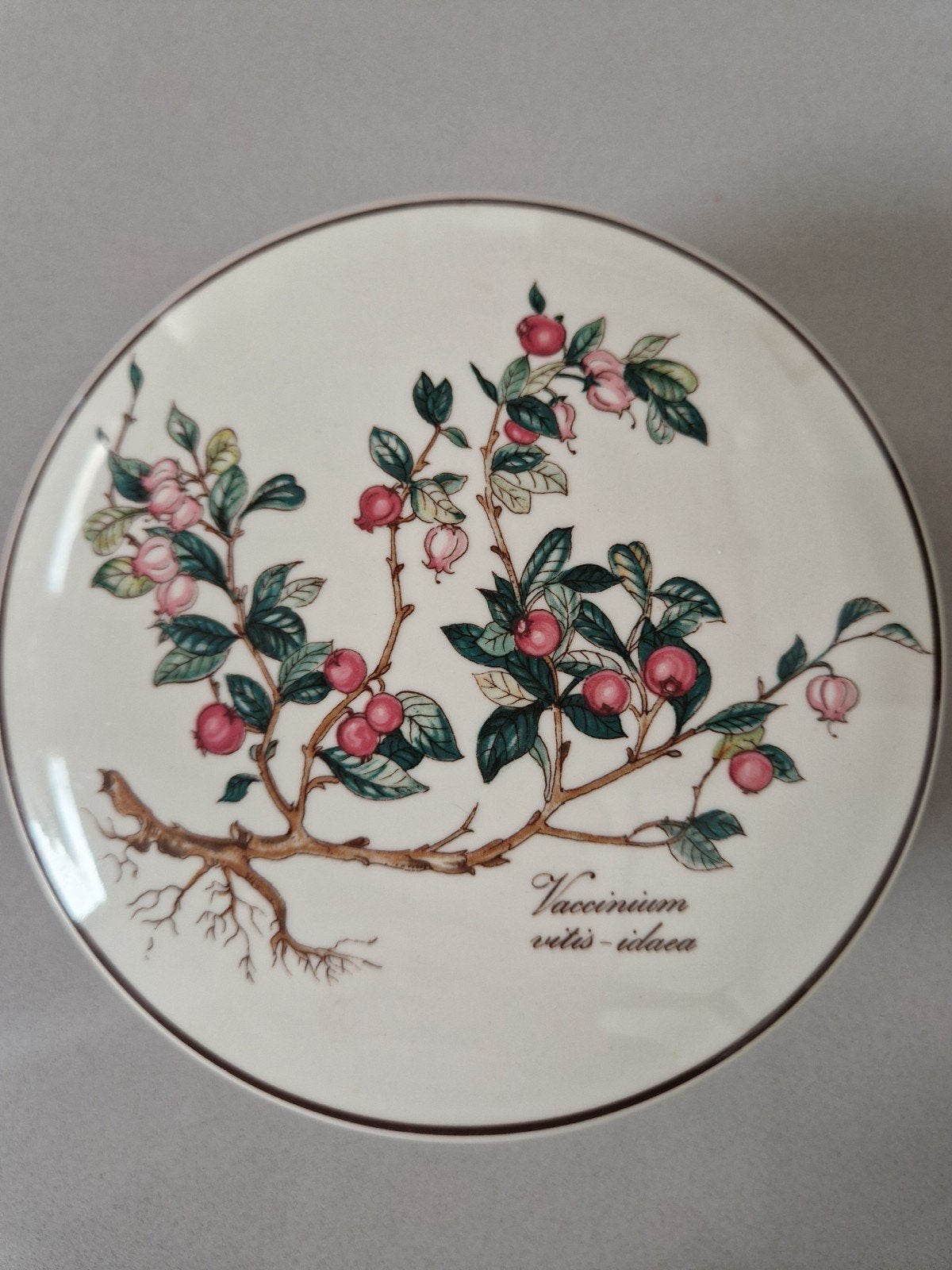 Grote bonbondoos Villeroy en Boch Botanica, Ophalen, Overige typen, Zo goed als nieuw, Overige stijlen