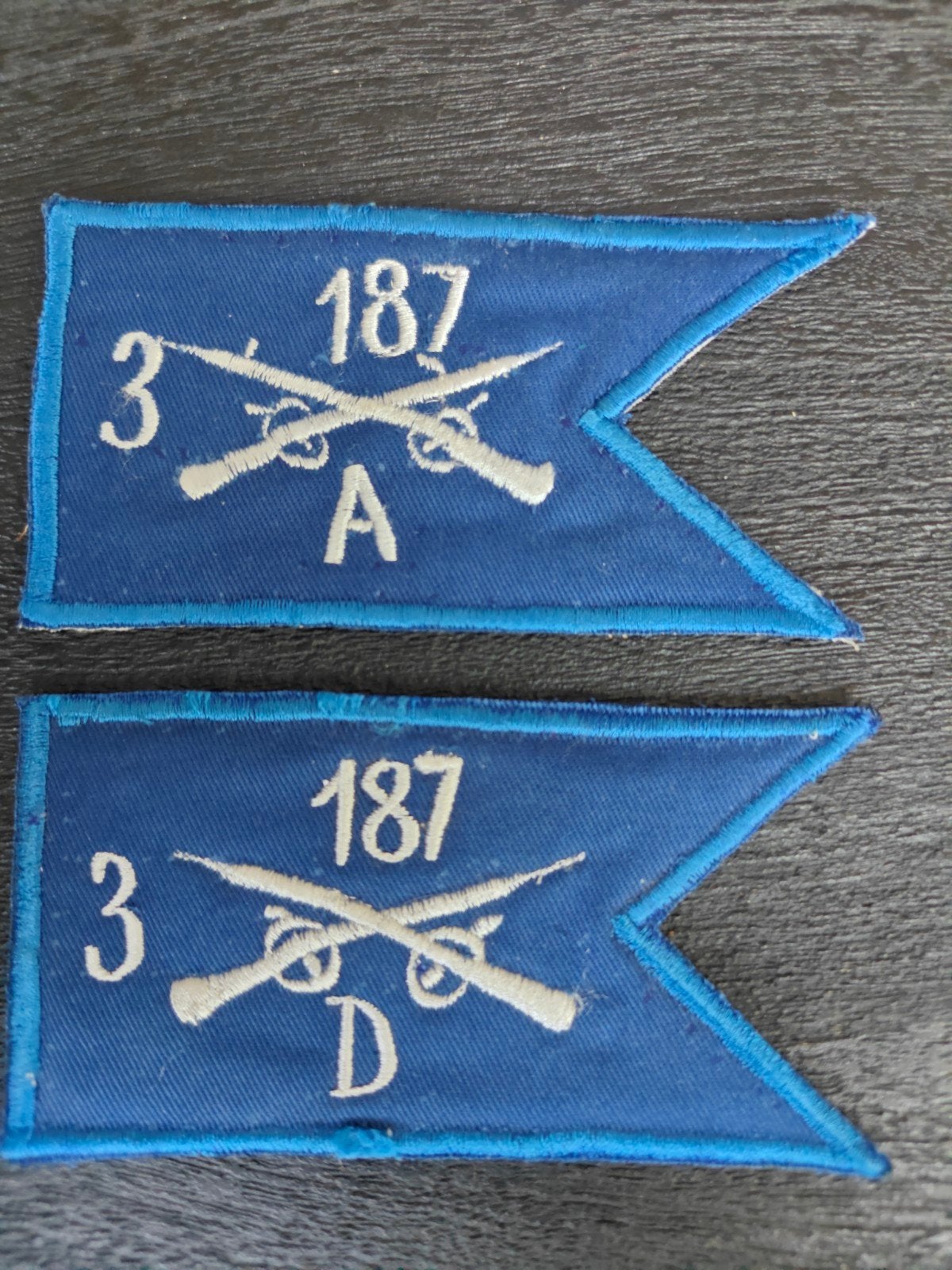 guidon-patches 187th Infantry Regiment, Ophalen of Verzenden, Landmacht, Amerika, Embleem of Badge