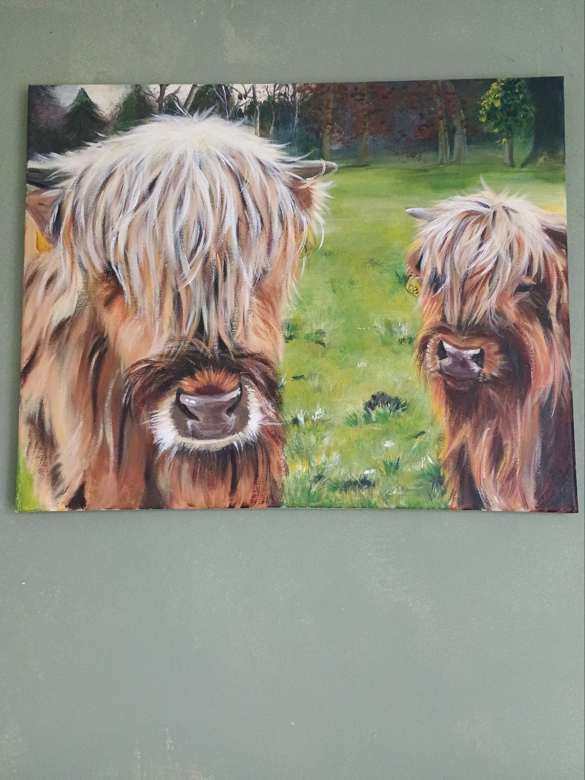 Schotse Hooglanders, Ophalen, Handgeschilderd, Acrylverf, Dieren
