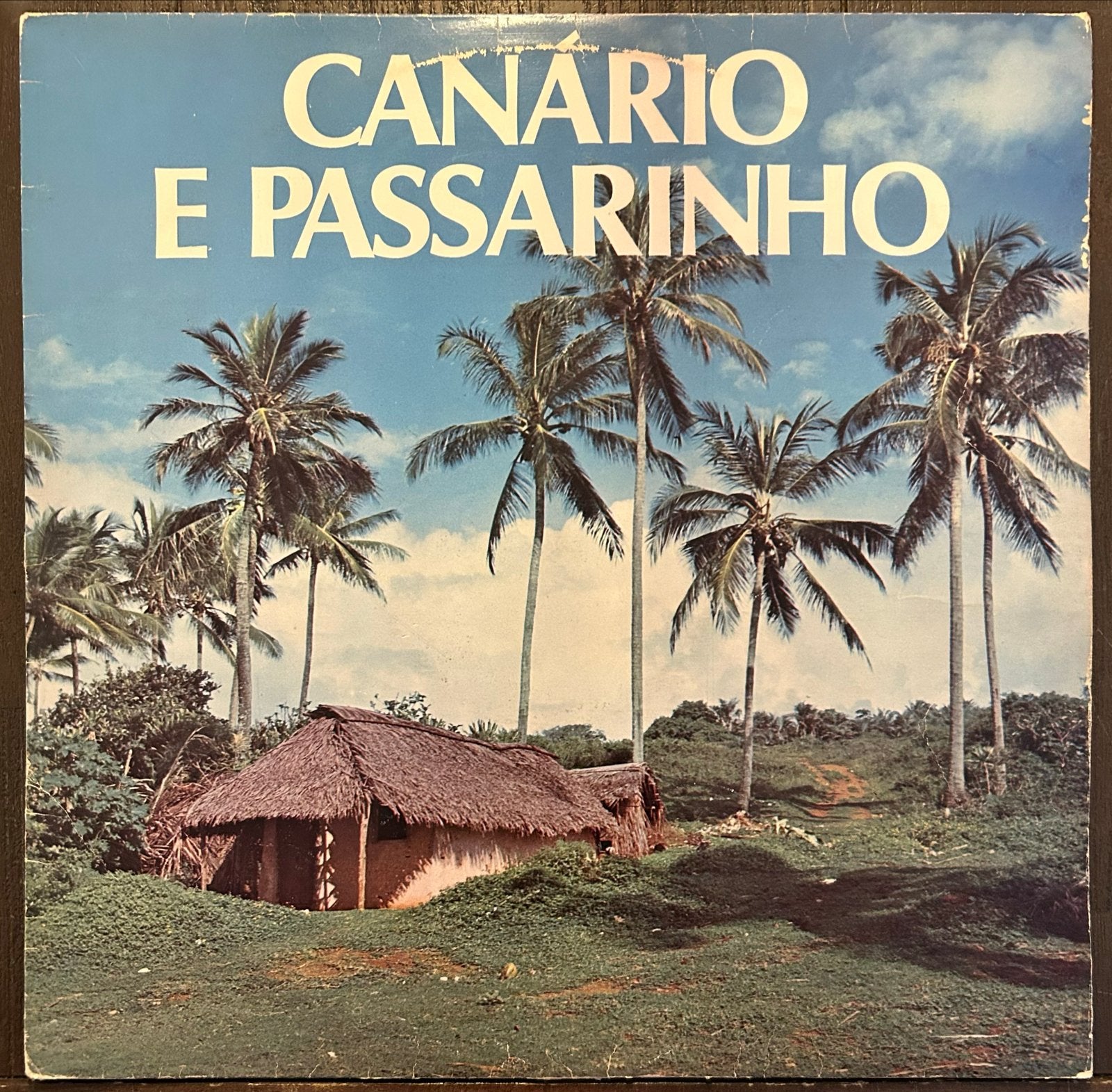 Canário E Passarinho - Braziliaanse LP uit 1979, LP, Gebruikt, Pop, Originele persing