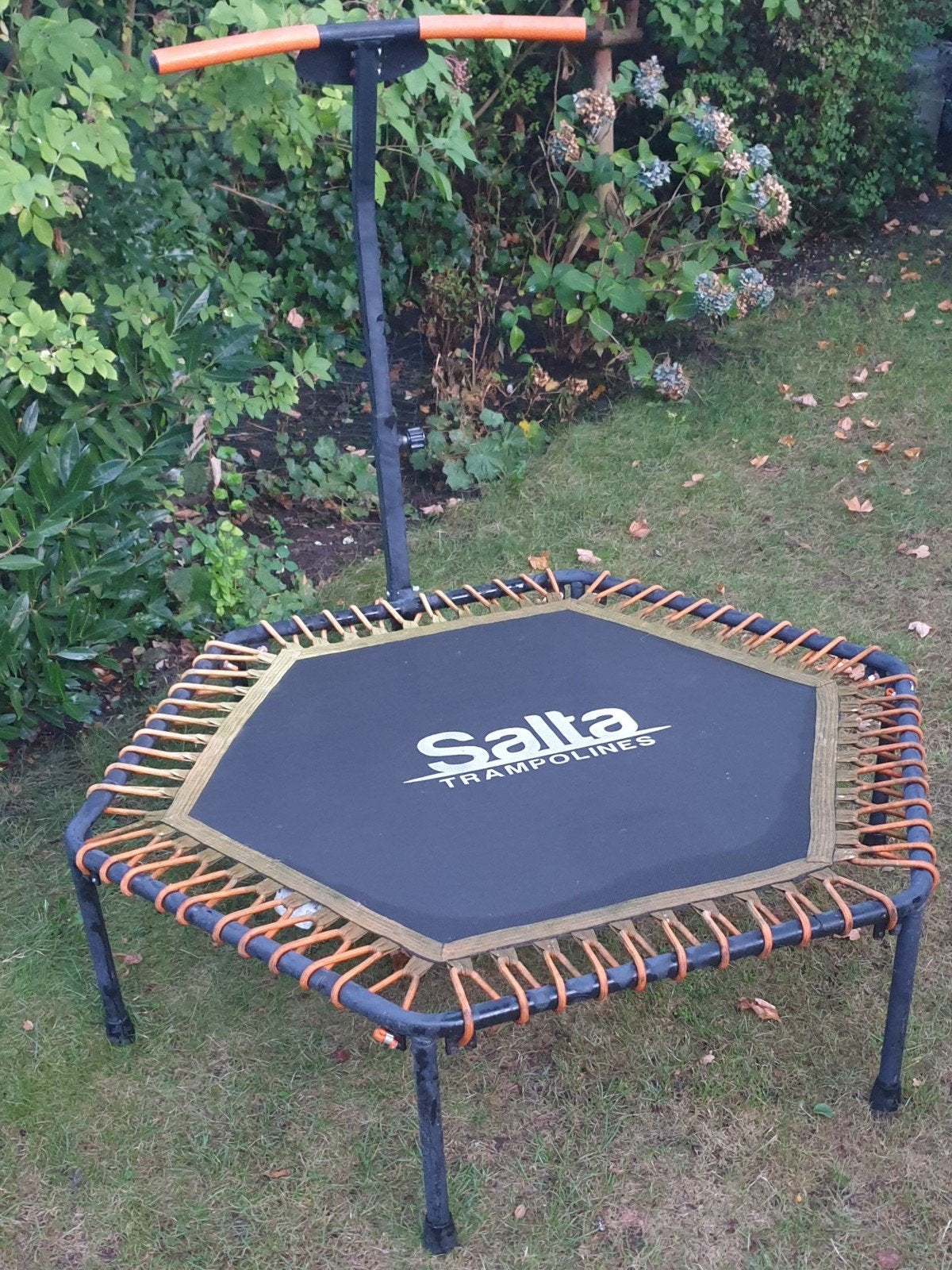 Salta Fitnesstrampoline Zeshoekig met Verstelbaar Handvat, Kinderen en Baby's, Speelgoed | Buiten | Trampolines, Ophalen
