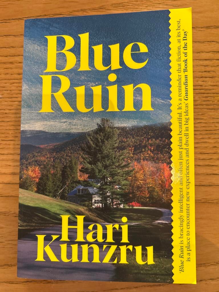 Blue Ruin - Hari Kunzru (Engels), Boeken, Romans, Zo goed als nieuw, Amerika, Ophalen of Verzenden