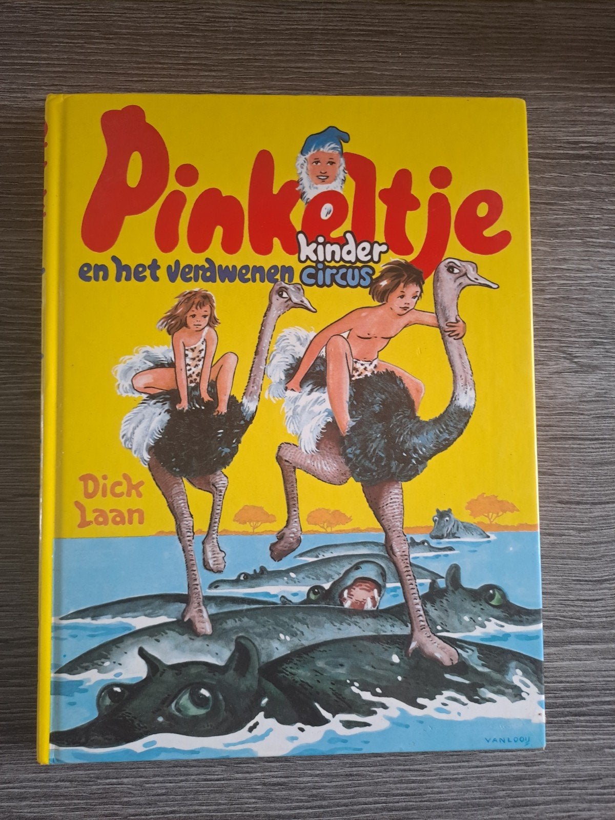 Meerdere Pinkeltje boeken van dick laan, Ophalen of Verzenden, Gelezen, Dick Laan, Fictie algemeen