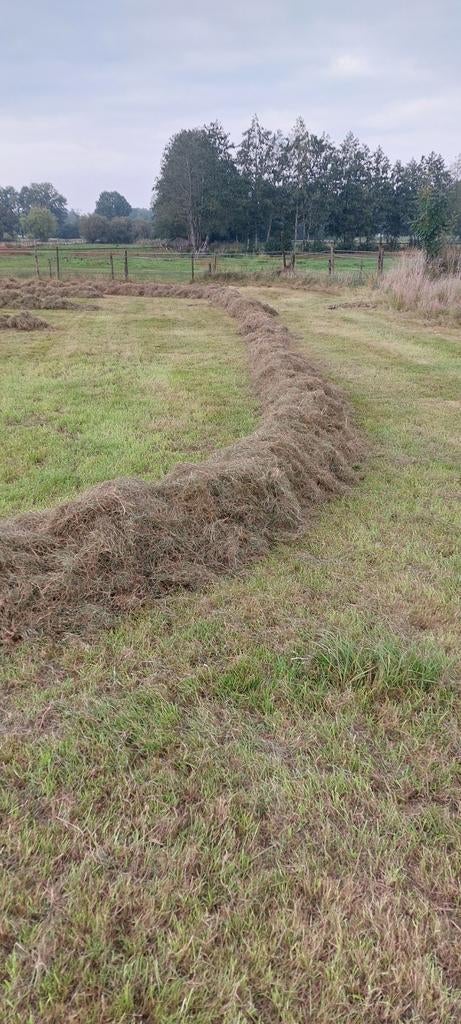 Midibalen 2de snede nog 6 stuks, Dieren en Toebehoren, Dierenvoeding, Ophalen, Vee