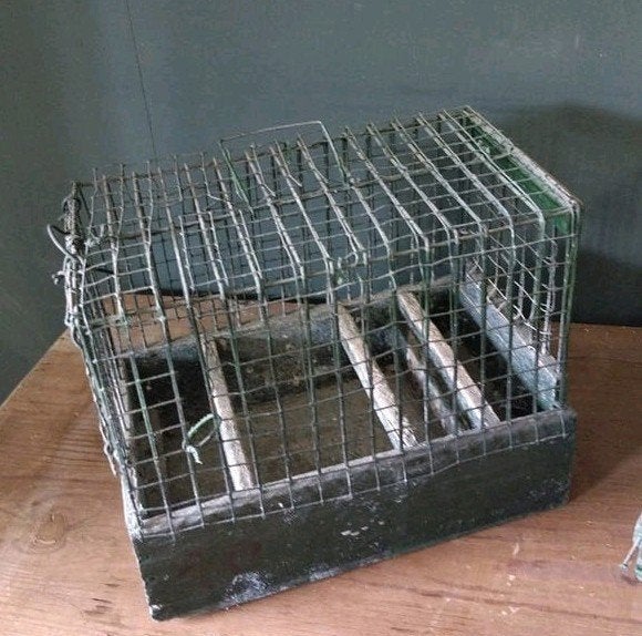 Twee antieke houten vogelkooitjes, groen, Antiek en Kunst, Ophalen of Verzenden