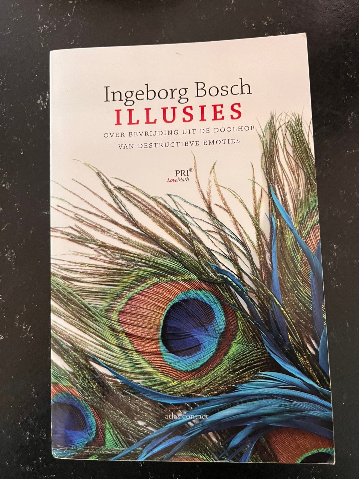 Illusies Ingeborg Bosch, Ophalen of Verzenden, Zo goed als nieuw, Overige typen