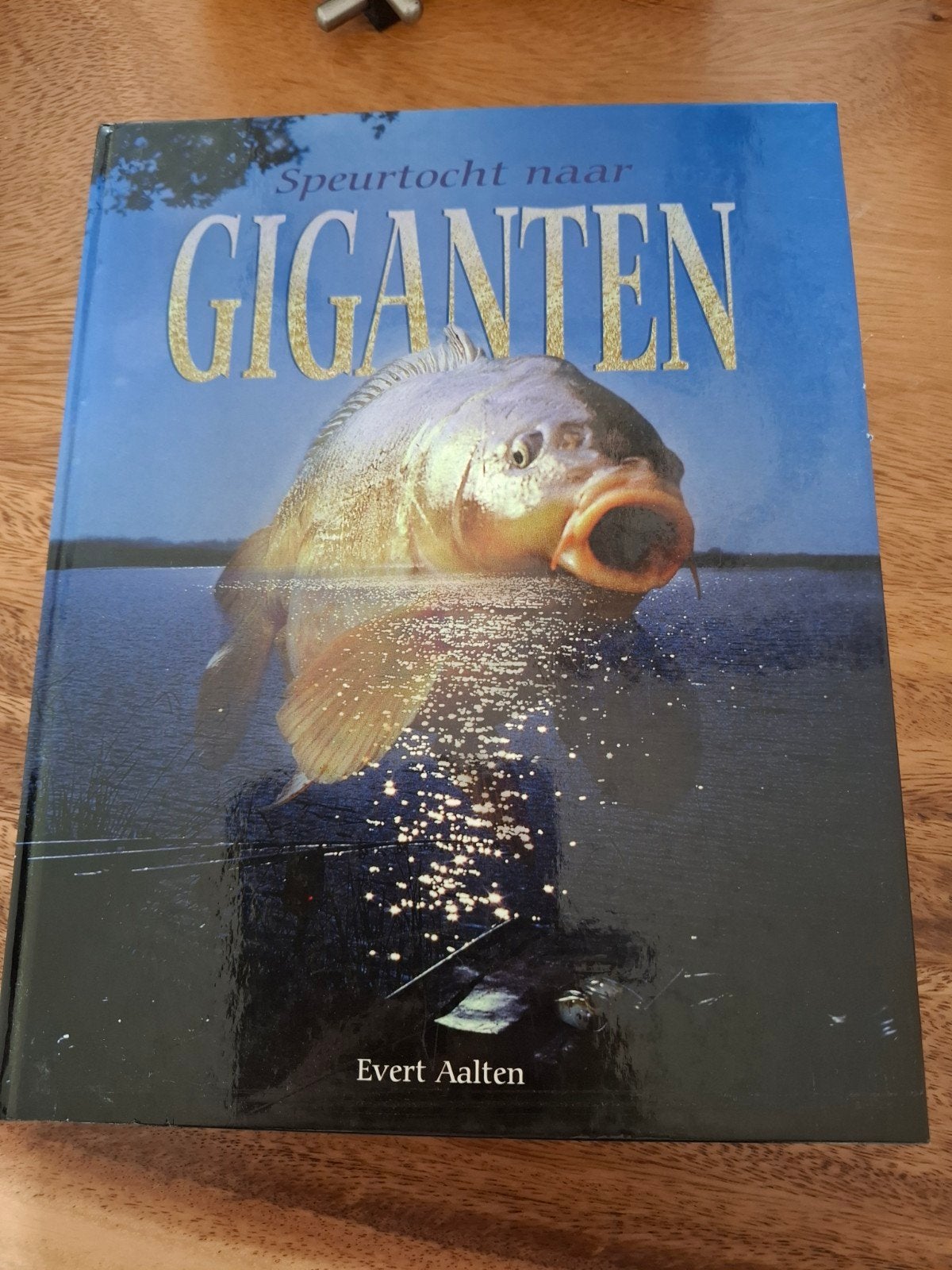 Karpervis boek: Speurtocht naar Giganten - Evert Aalten, Watersport en Boten, Ophalen of Verzenden, Overige typen