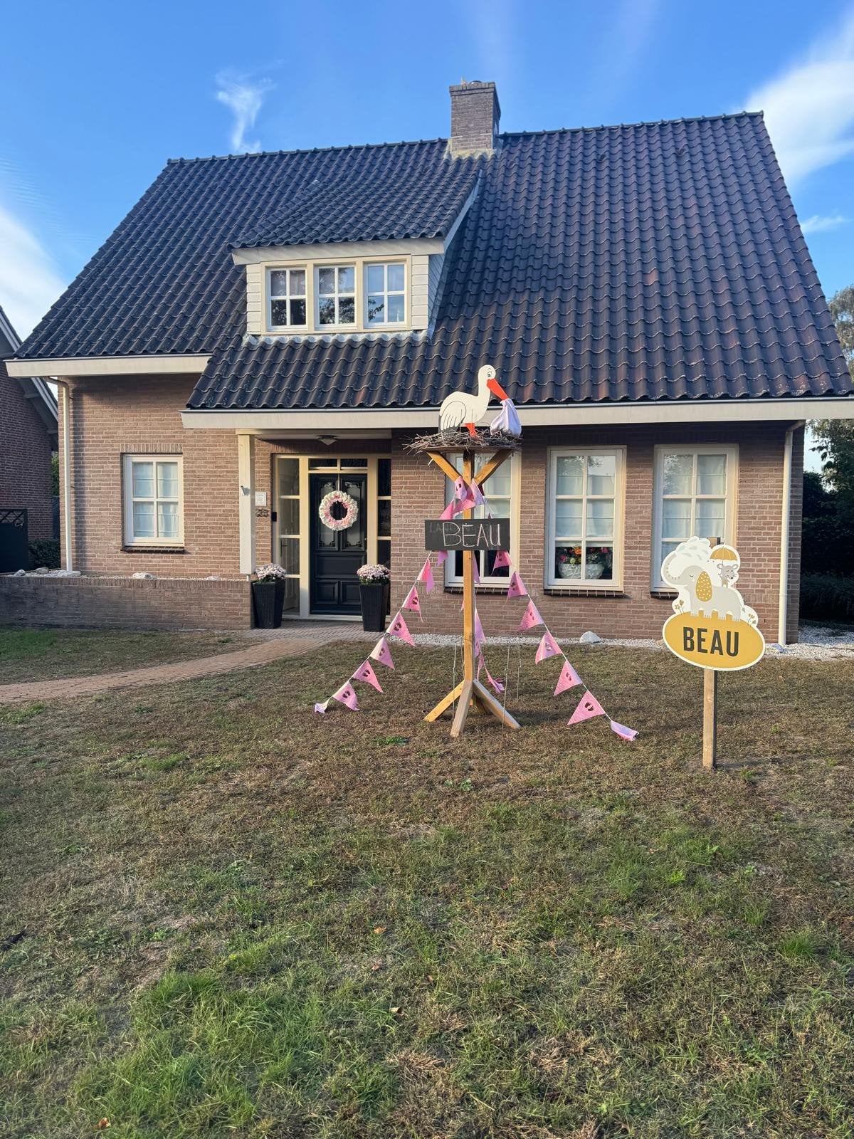 Geboortebord ooievaar op nest te huur, direct beschikbaar, Kinderen en Baby's, Kraamcadeaus en Geboorteborden, Ophalen of Verzenden