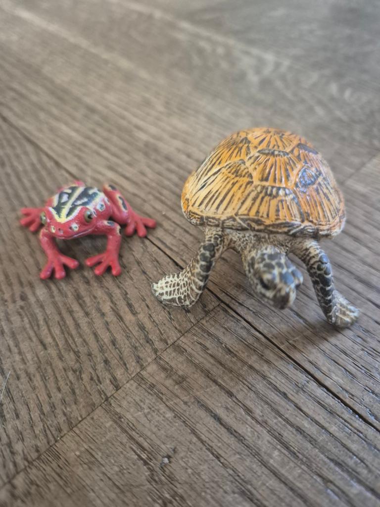Schleich Zeeschildpad en Exotische Kikker Speelfiguren, Verzamelen, Dierenverzamelingen, Ophalen of Verzenden, Zo goed als nieuw
