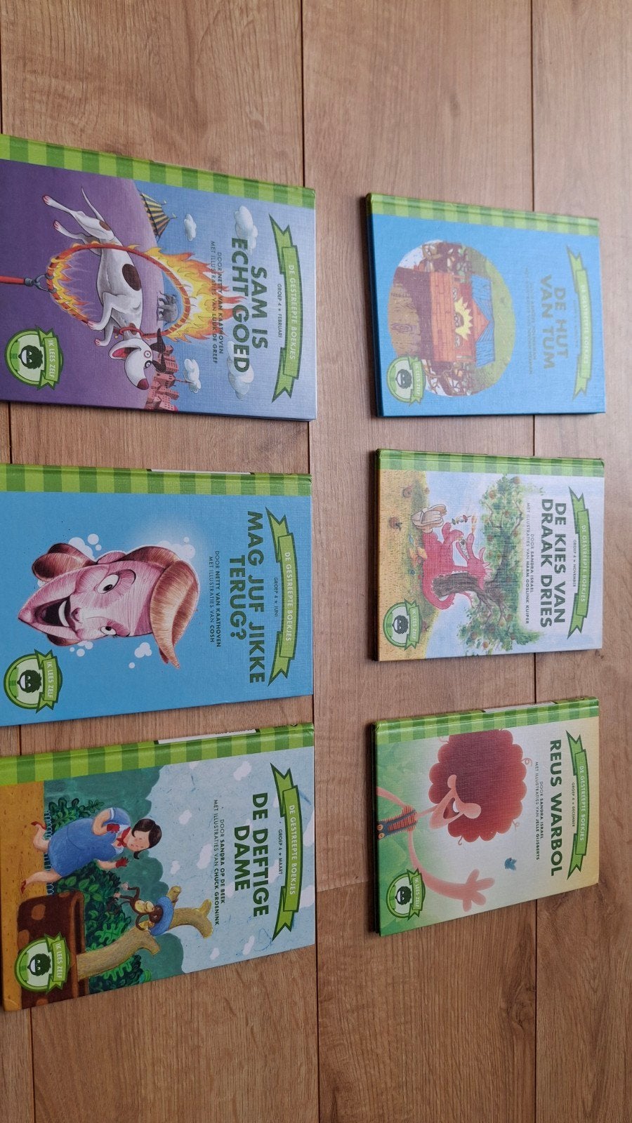 6 borre boekjes groep 4, Ophalen of Verzenden, Zo goed als nieuw, Fictie algemeen