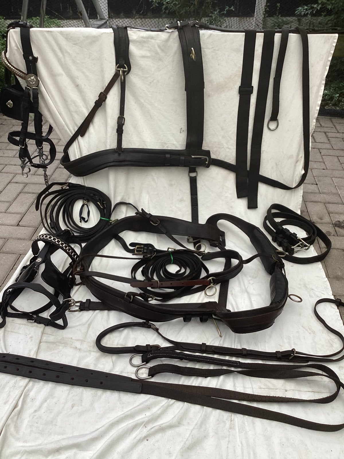 Tweespan trainingstuig  FULL. €250, Dieren en Toebehoren, Gebruikt, Overige disciplines, Handgemaakt, Bruin