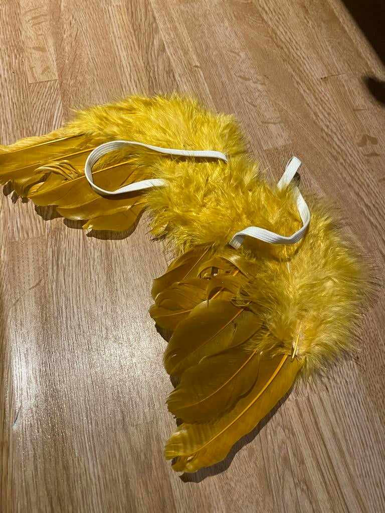 Roze jurkje met stippen en gele vleugels, Kinderen en Baby's, Carnavalskleding en Verkleedspullen, Ophalen of Verzenden, Gebruikt