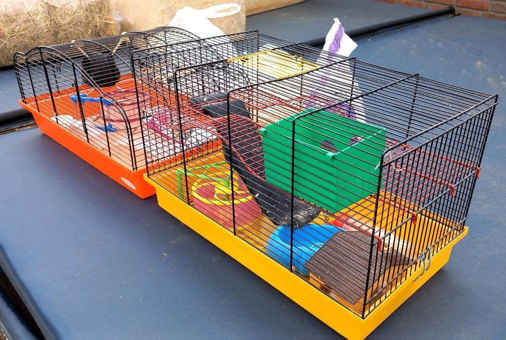 SNEL WEG €45 Pakket: 2x Hamsterkooi + Voer + Bodembedekking, Kooi, Gebruikt, Minder dan 75 cm, Muis