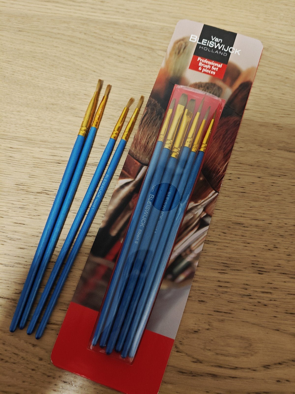 Van Bleiswijck Professionele Penseel Set - 10 Stuks, Hobby en Vrije tijd, Ophalen of Verzenden, Nieuw