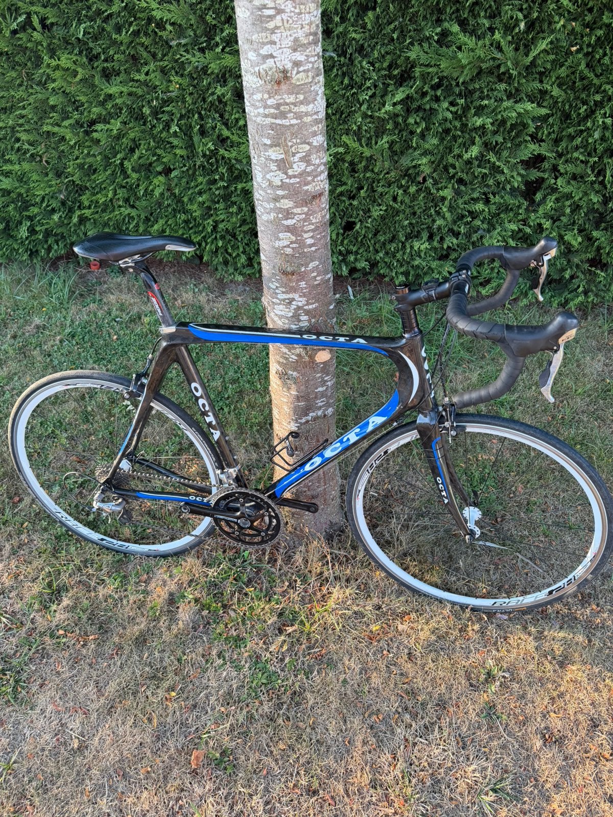 Octa carbon racefiets maat L, Gebruikt, Carbon, Meer dan 20 versnellingen, Ophalen