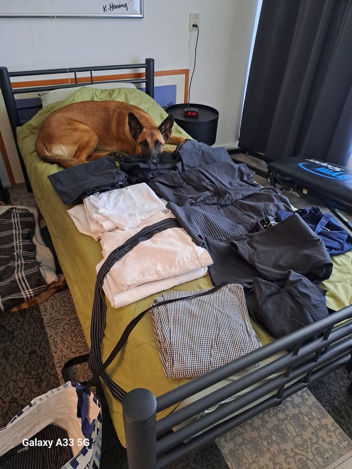 Gratis kokskleding, Kleding | Heren, Ophalen