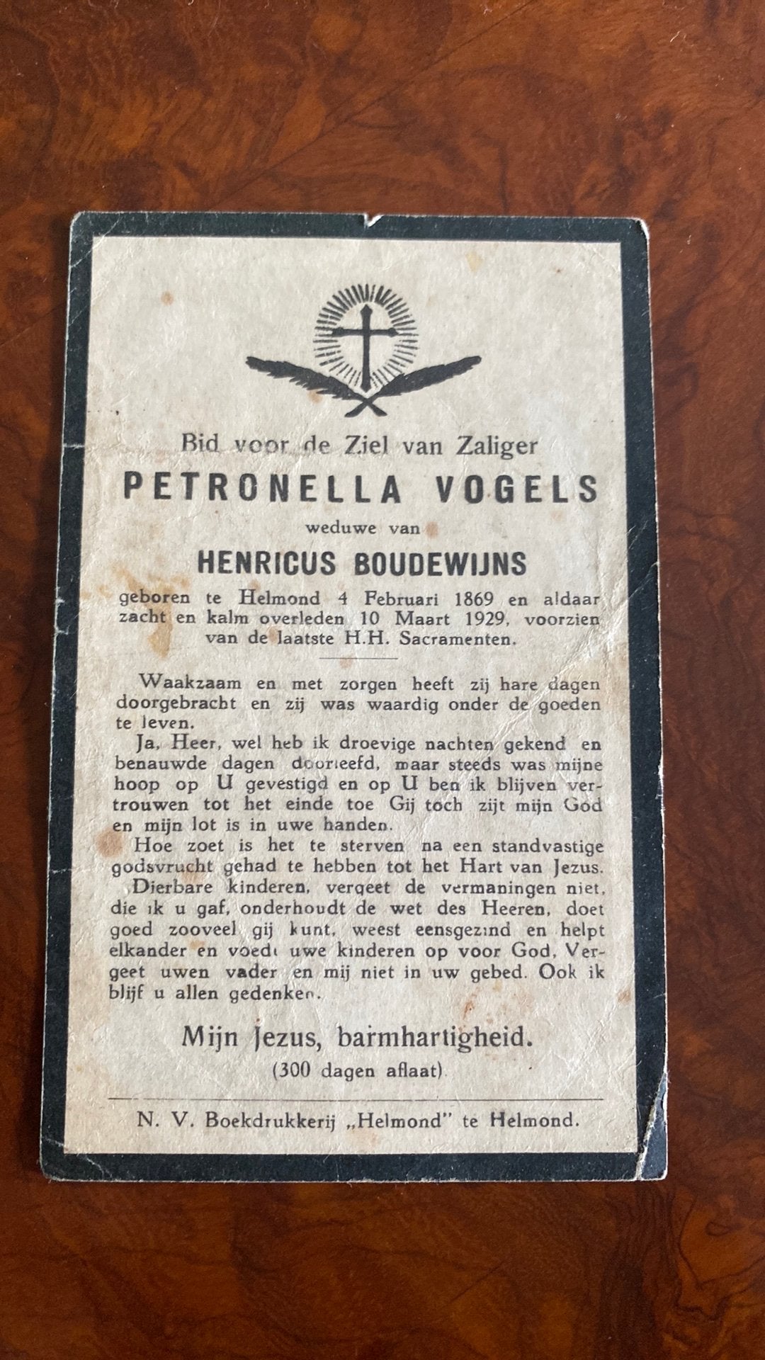 P Biudewijns - Vogels 1869 Helmond 1929, Verzamelen, Ophalen of Verzenden