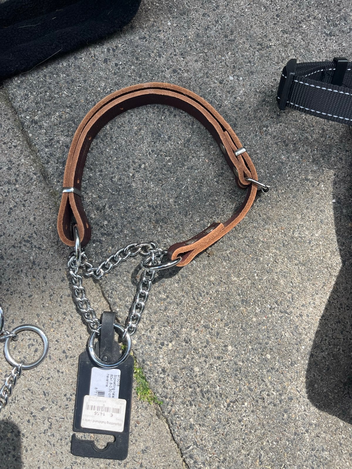 Honden halsband, Ophalen of Verzenden, Nieuw