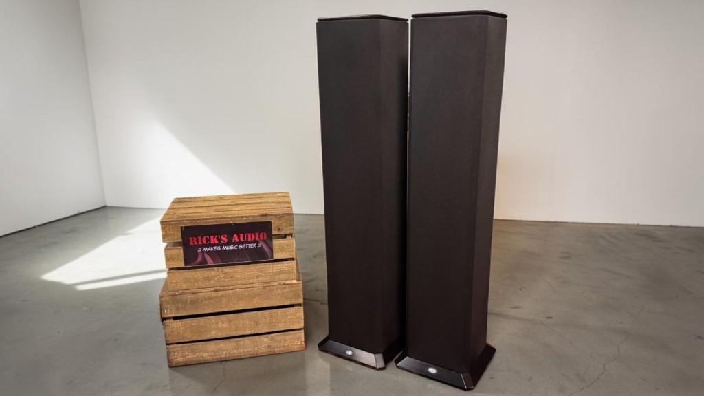 BNS Soundcolumn III • Topmodel uit 1989 • MADE IN HOLLAND, Audio, Tv en Foto, Luidsprekers, Refurbished, BNS (Berghe Nobel Sound)