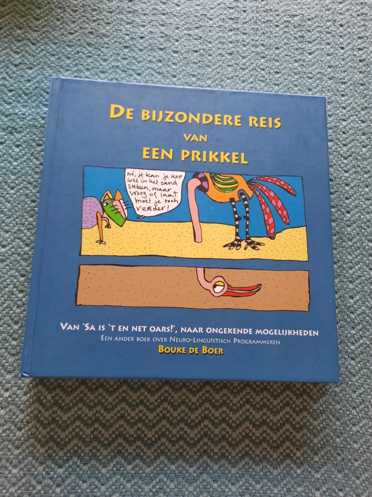 De Bijzondere Reis van een Prikkel - Bouke de Boer, Boeken, Ophalen of Verzenden, Zo goed als nieuw