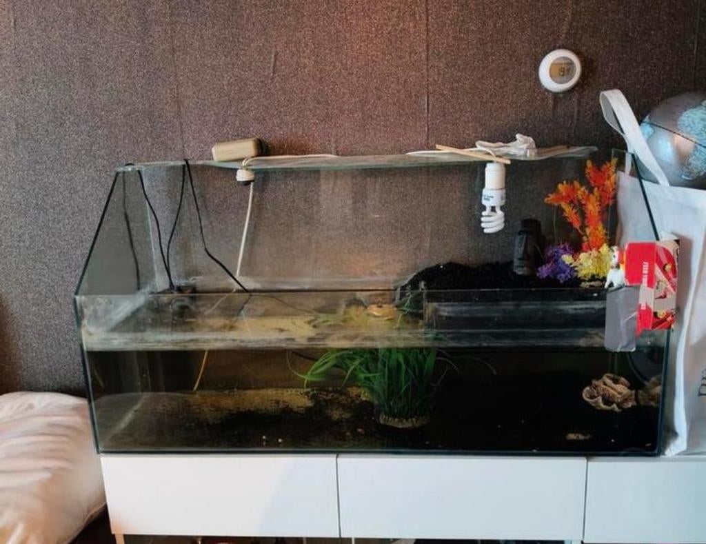 Terrarium, lamp en warmte element nieuw met thermometer, Dieren en Toebehoren, Reptielen en Amfibieën | Toebehoren, Ophalen